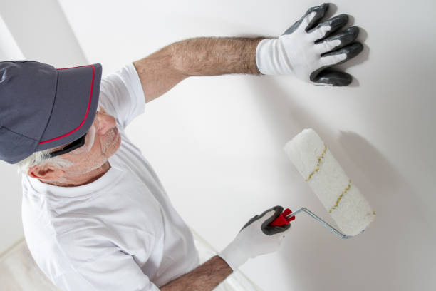Mold Odor Removal Services in Tri Lakes, IN