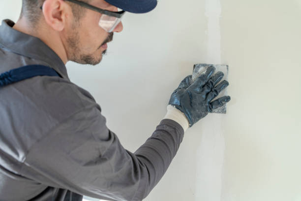 Best Dehumidification Services  in Tri Lakes, IN