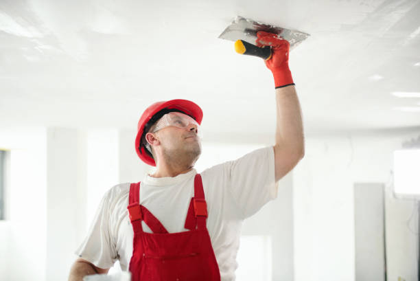Best Basement Mold Removal  in Tri Lakes, IN