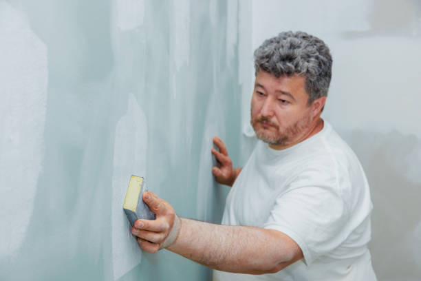 Best Industrial Mold Remediation  in Tri Lakes, IN