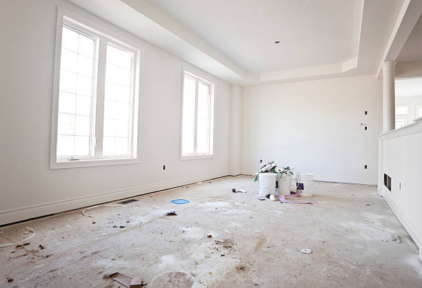 Professional Mold Removal in Tri Lakes, IN